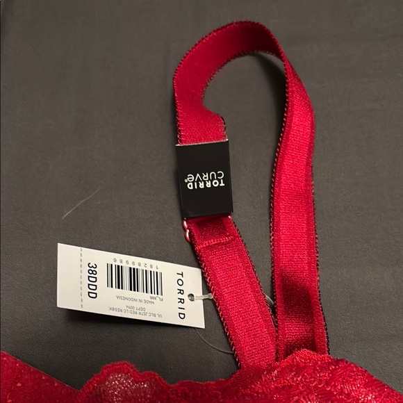 Torrid NWT Lace Bra and Panty Set - Picture 3 of 6